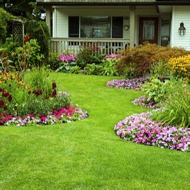 Having been in business for over a decade, we have proven our worth to the community and established ourselves as a reliable and hardworking business partner to all our clients! Lawn Care in Gainesville, FL