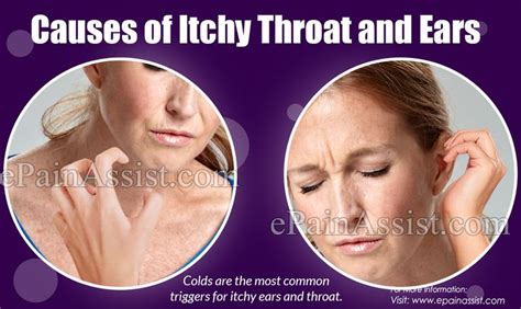 Causes Of Itchy Throat And Ears Itchy Throat Itchy Ears Itchy