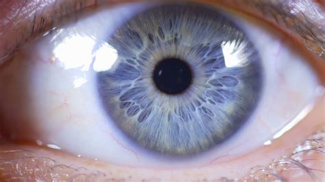 Macro Close Up Of Female Eye Showing Pupil And Iris Stock Video Footage