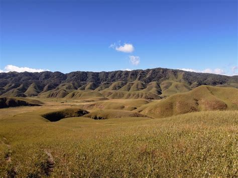 The Rolling Hills Of Dzukou Valley Nagaland India Photorator