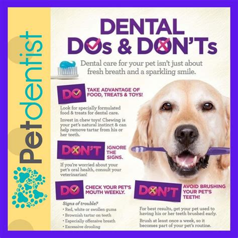 Dos And Donts You Need To Know Love Your Pet Love Their Teeth
