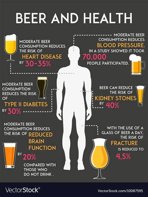 Drinking Alcohol Influence Your Body And Health Vector Image