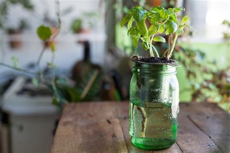 A Homemade Self Watering Mason Jar Planter Diy Self Watering