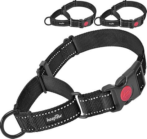 Haapaw 2 Packs Martingale Dog Collar With Quick Release
