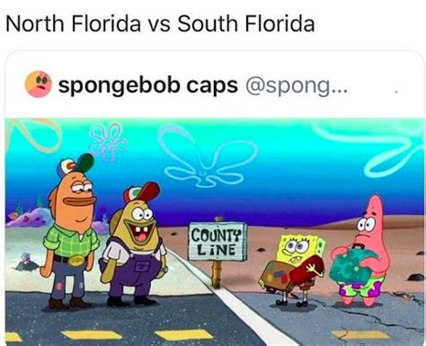 Florida Memes 31 Pics