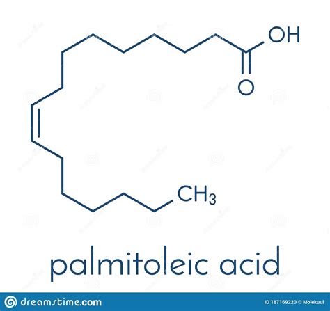 Palmitoleic Acid Omega 7 Fatty Acid Molecule Skeletal Formula Stock