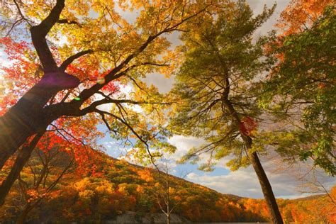 Colorful Fall Scenery Landscapes Stock Image Image Of River