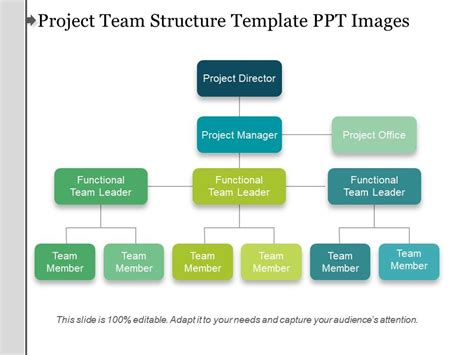 Project Team Structure Template Ppt
