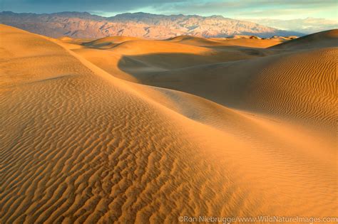 Mojave Desert Photos Photos By Ron Niebrugge