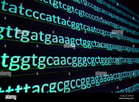 La Secuenciación Del Genoma Secuencia De Bases De Nucleótidos En El