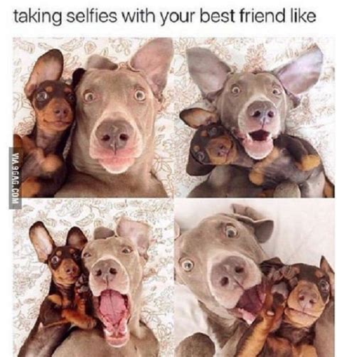 The Top Best Friend Memes Of