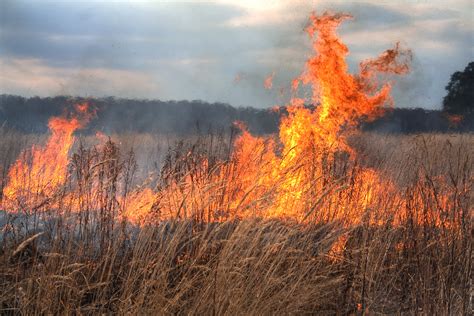 Field In Fire By Yolenzo On Deviantart
