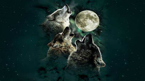 Digital Art Wolf Moon Wallpapers Hd Desktop And Mobile Backgrounds