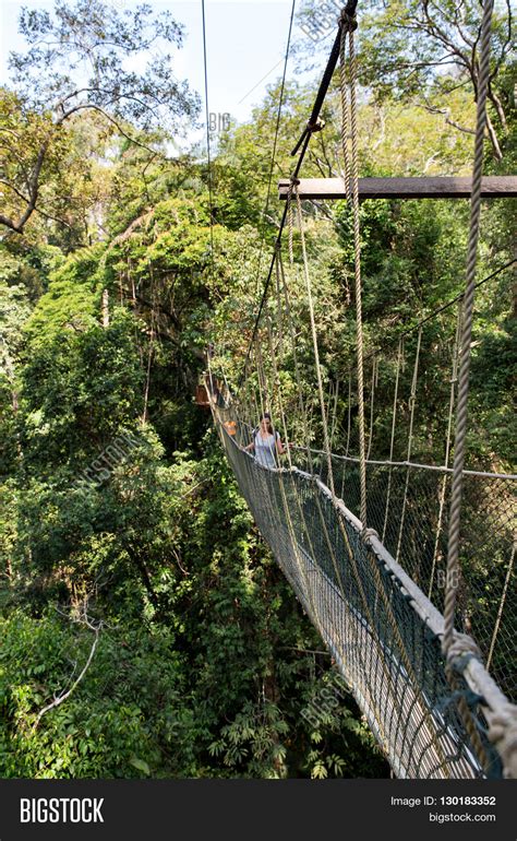 Woman On Canopy Bridge Image And Photo Free Trial Bigstock