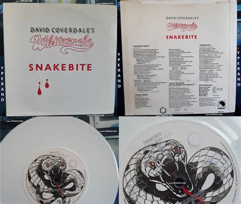 Whitesnake Snakebite 7 Rare Uk Limited Edition 4 Track 1978 White