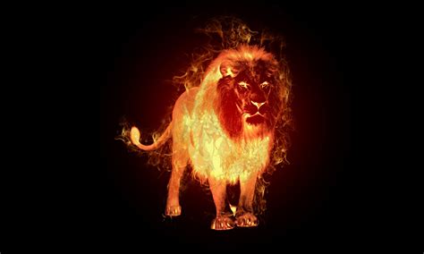 Red Lion Wallpapers Wallpaper Cave