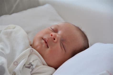 Fotos Gratis Persona Dulce Niño Bebé Producto Dormir Infantil