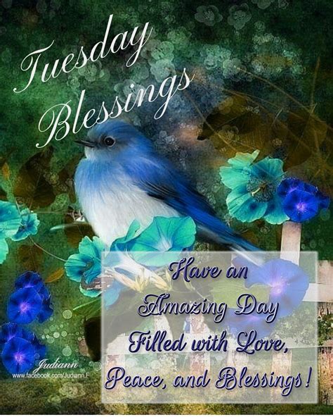 Blue Bird Tuesday Blessings Pictures Photos And Images