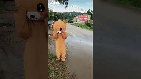 Funny Bear 🐻🐻😄😁😄😁 Youtube