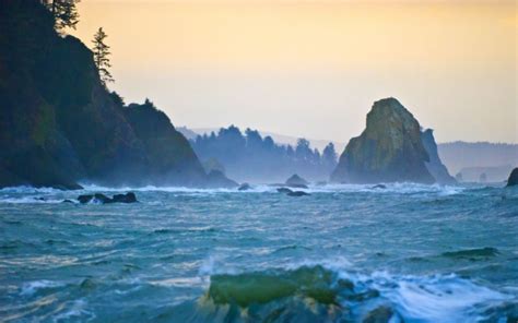 Trazee Travel Top 5 Day Hikes On The Olympic Peninsula Trazee Travel