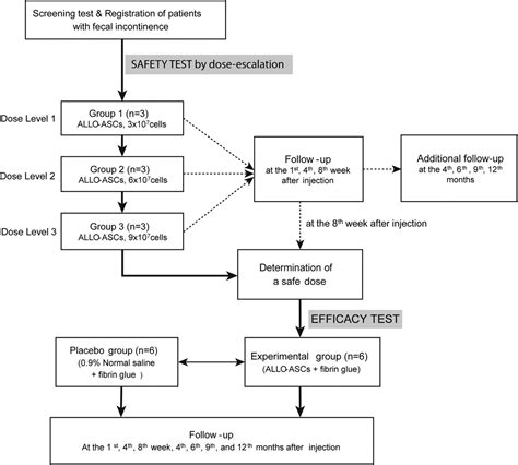 Treatment Of Faecal Incontinence Using Allogeneic Adipose Derived