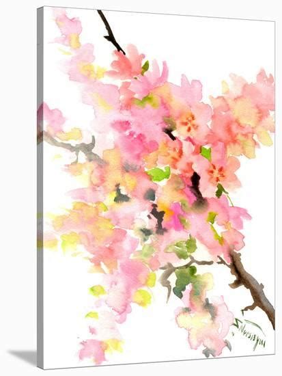 Cherry Blossom Sakura Stretched Canvas Print Suren Nersisyan