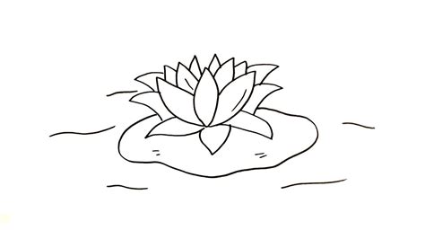 Mewarnai Kolam Bunga Teratai 15 Contoh Sketsa Bunga Yang Indah Dan