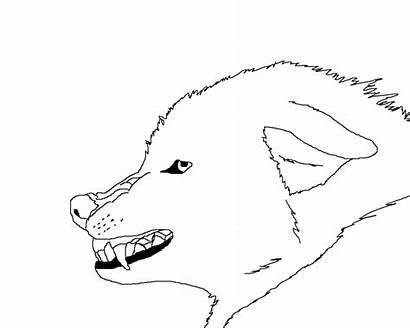 Wolf Angry Coloring Lineart Outline Face Rain