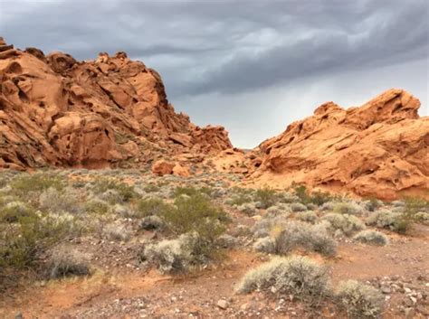 10 Best Walking Trails In Lake Mead National Recreation Area Alltrails