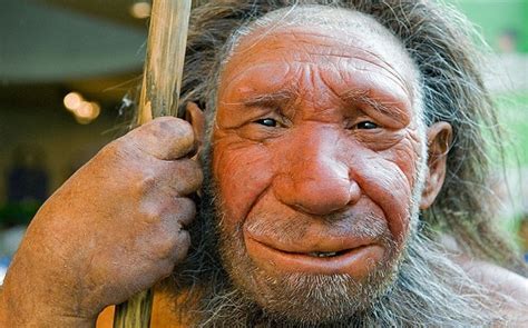 Neanderthals And Modern Humans Mated 100000 Years Ago
