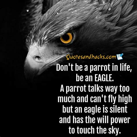 Love will be learnt along with way through the competition and some breaking up. 30 Best Eagle Quotes - Quotes and Hacks