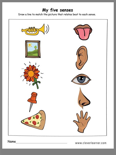 Pin by wenshan liang on all about me | Five senses worksheet, Five