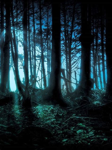Download Dark Mystery Forest Digital Art Wallpaper