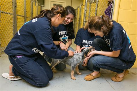 Three Women In Blue Shirts Petting A Small Dog On The Floor Next To A