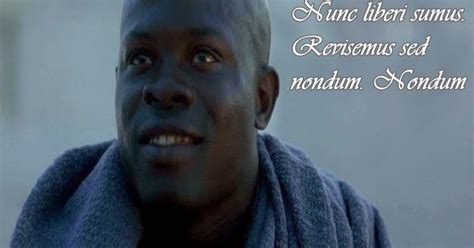 Frases de la vida en latin. 10 Frases de Gladiator traducidas al latín ~ Mitoslogos