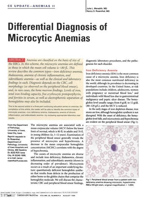 Differential Diagnosis Of Microcytic Anemiapdf Anemia Red Blood Cell