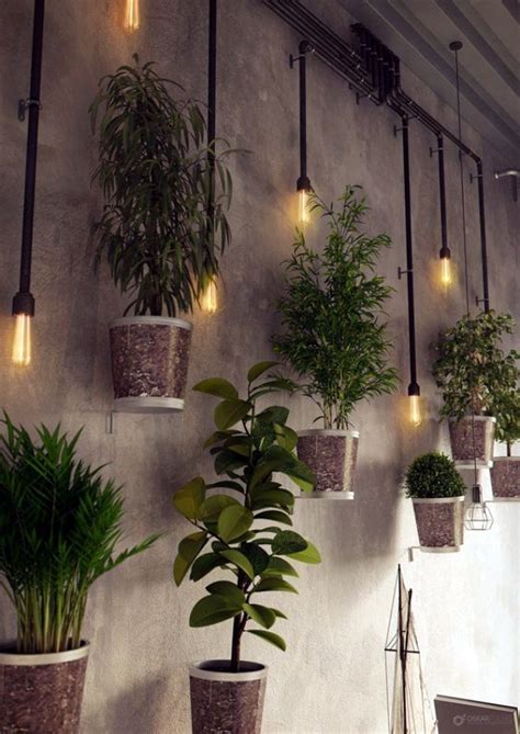The use of extension cords is not permitted in the residence. Perfect Wall Hanging Plant Decor Ideas - photofun4ucom
