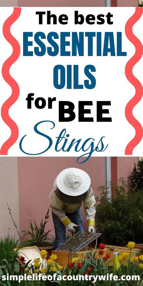 When you're out working in the garden and you get stung by a red ant or wasp, it really makes the rest of the day miserable! The best essential oils for bee stings | Remedies for bee ...