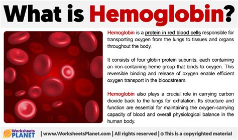 What Is Hemoglobin Definition Of Hemoglobin