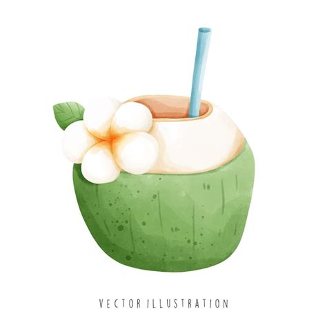 Premium Vector Watercolor Of Coconut Juice Hawaii Travel Vector