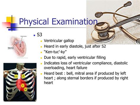 Ppt Cardiovascular Patient Assessment Powerpoint Presentation Free