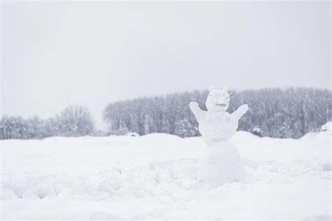 The Figure Of Funny Snowman Animal In Snowy Field Stock Image Image