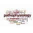 Pathophysiology Animated Word Cloud Text Design Animation Stock 