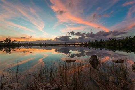 Pin By Sugar And Time On Photo Love Everglades Wonderful Picture