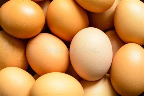 Huevos Crudos Naturales Frescos Del Pollo Foto De Archivo Imagen De