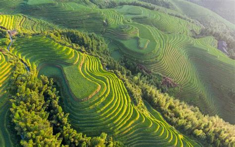 Longsheng Longji Rice Terraces Local Expert Travel Tips