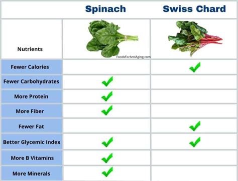 Spinach Vs Swiss Chard Which Is Better Complete Comparison