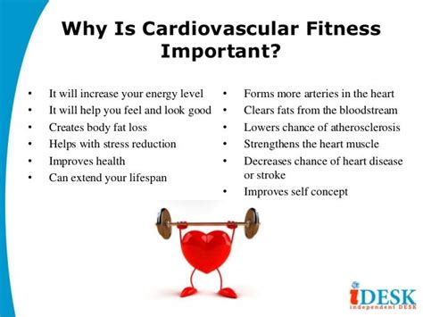Describe The Health And Wellness Benefits Of Cardiorespiratory Endurance