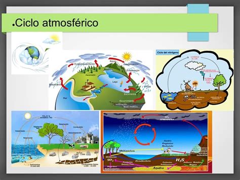 Ciclos Biogeoquimicos