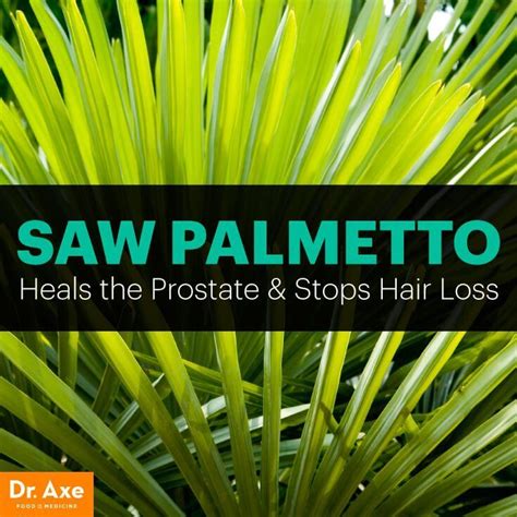Saw Palmetto Benefits Dr Axe Help Hair Loss Hair Loss Cure Stop
